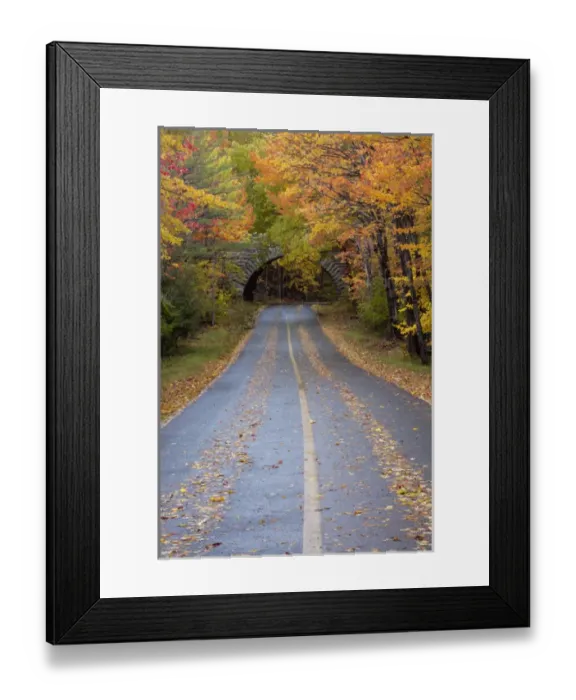 Framed Print : North America, USA, Maine. Road through Acadia National Park in the fall Framed Print : North America, USA, Maine. Road through Acadia National Park in the fall