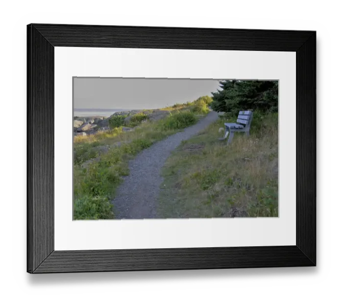 Framed Print : North America, USA, Maine, Lubec. A bench overlooking the ocean next to a path in
