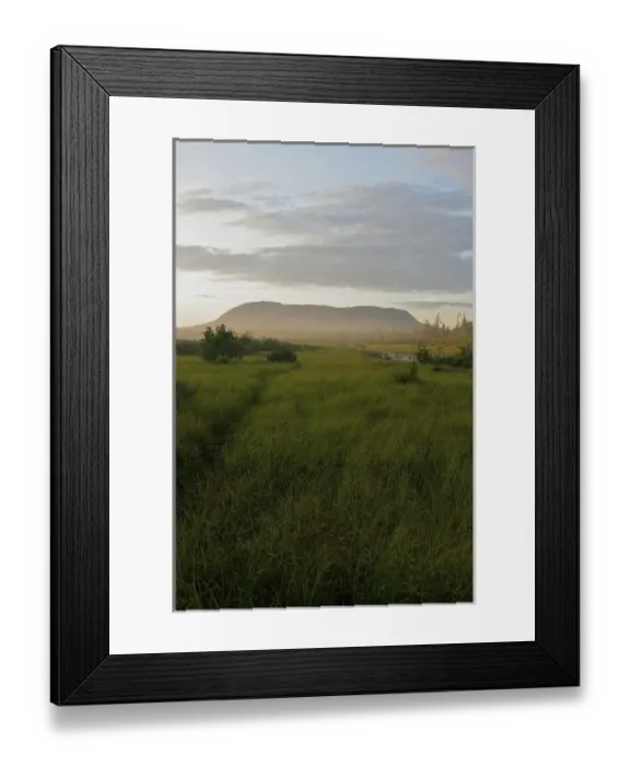 Framed Print : North America, United States, Maine, Kokadjo