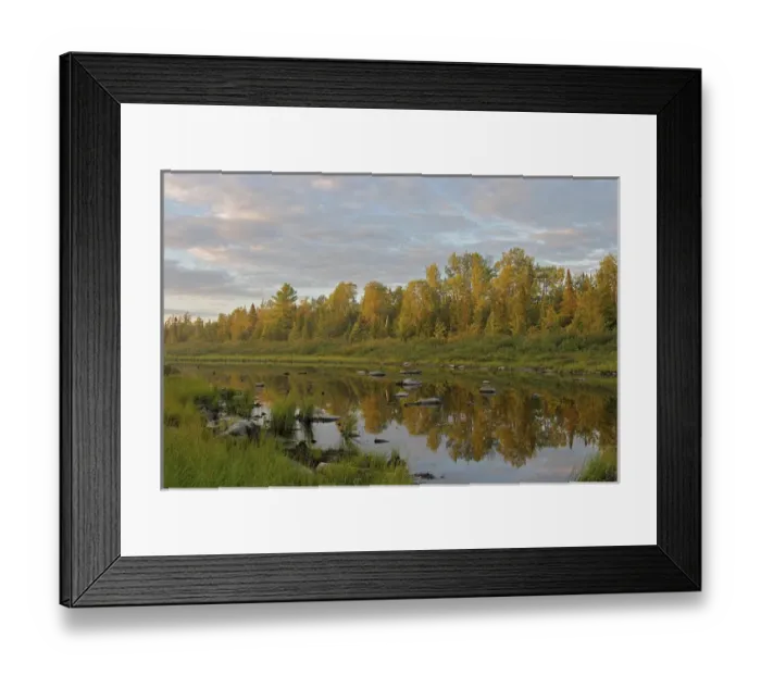Framed Print : North America, United States, Maine, Kokadjo. Trees reflected in a pond in the Moosehead