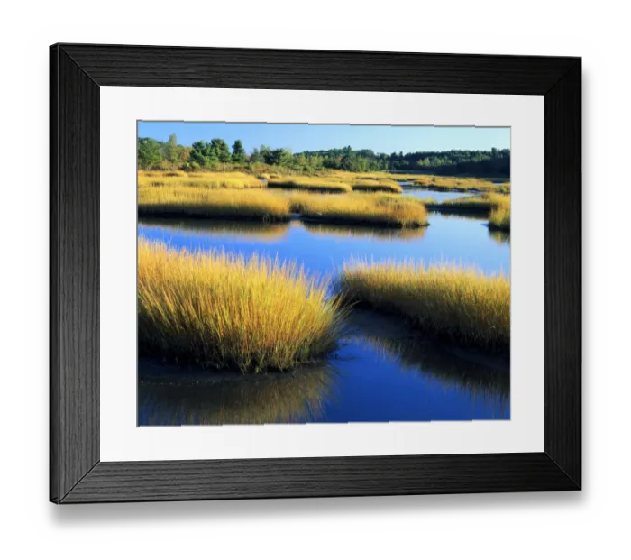 Framed Print : MAINE. USA. Salt marsh at sunrise. Estuary of New Meadow River in early autumn Framed Print : MAINE. USA. Salt marsh at sunrise. Estuary of New Meadow River in early autumn