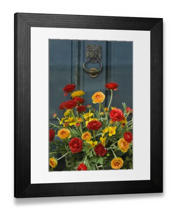 Framed Print : Colorful bouquet adorns door to historic home, Annapolis, Maryland, United States Framed Print : Colorful bouquet adorns door to historic home, Annapolis, Maryland, United States