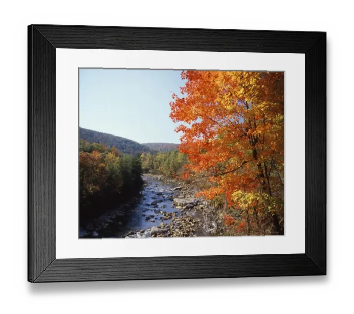 Framed Print : USA, Maryland, Potomac State Forest, North Fork of the Potomac River Framed Print : USA, Maryland, Potomac State Forest, North Fork of the Potomac River