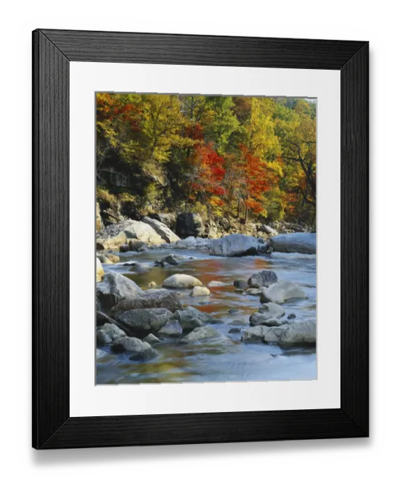 Framed Print : Maryland, Potomac State Forest, North Fork, River flowing through forest in autumn