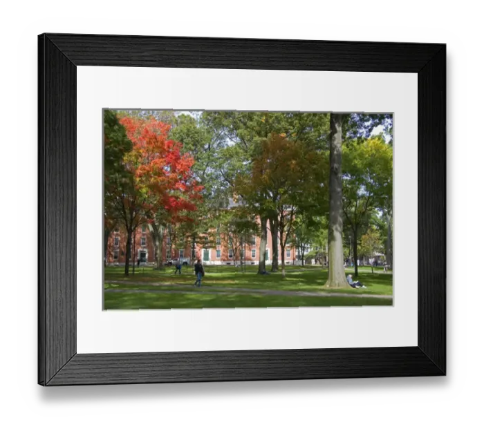Framed Print : Harvard Yard at Harvard University in Cambridge, Greater Boston, Massachusetts, USA Framed Print : Harvard Yard at Harvard University in Cambridge, Greater Boston, Massachusetts, USA