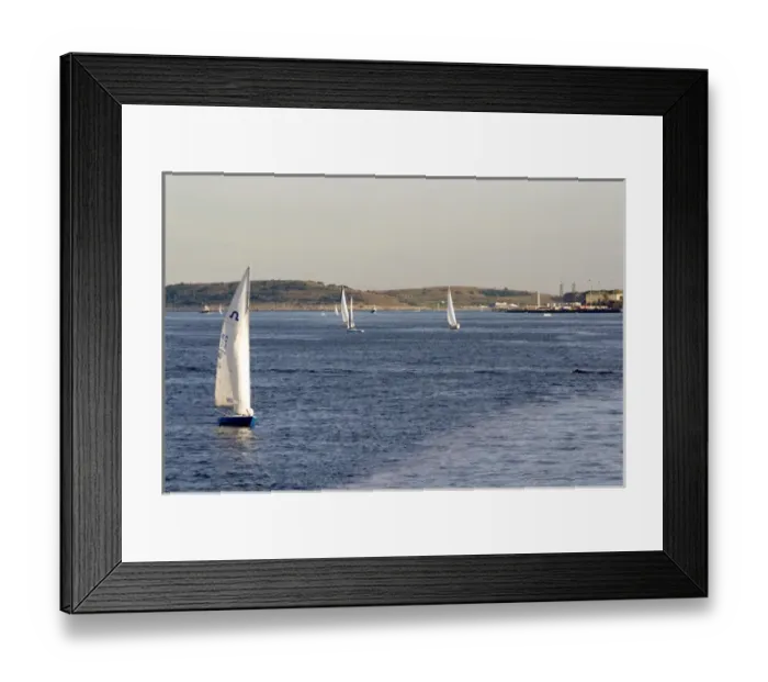 Framed Print : Sailboat in Boston Harbor, Boston, Massachusetts, USA Framed Print : Sailboat in Boston Harbor, Boston, Massachusetts, USA