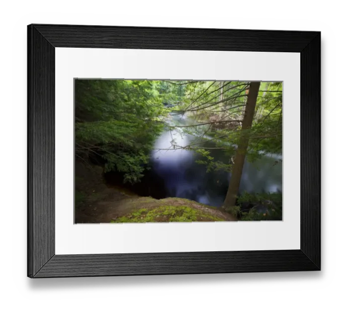Framed Print : Hemlock trees on the banks of the Ipswich River at the Essex County Greenbelt Association s Framed Print : Hemlock trees on the banks of the Ipswich River at the Essex County Greenbelt Association s