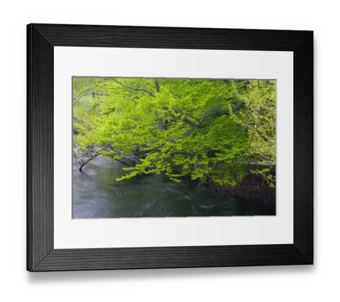 Framed Print : The Ipswich River in Essex County Massachusetts USA Framed Print : The Ipswich River in Essex County Massachusetts USA
