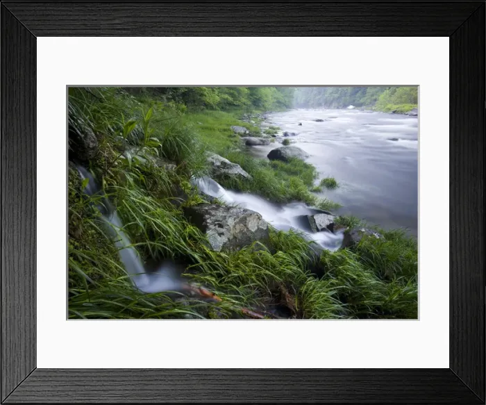 Framed Print : A small stream cascades into the West Branch of the Westfield River in Chesterfield, Massachusetts Framed Print : A small stream cascades into the West Branch of the Westfield River in Chesterfield, Massachusetts