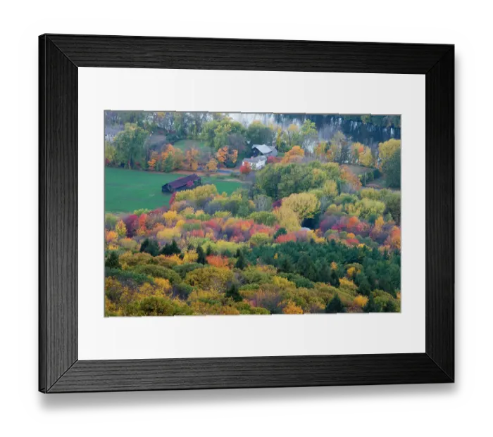 Framed Print : Farm in forest in fall next to the Connecticut River in Hadley, Massachusetts Framed Print : Farm in forest in fall next to the Connecticut River in Hadley, Massachusetts
