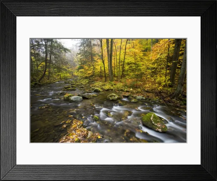 Framed Print : Sanderson Brook. Chester-Blanford State Forest. Connecticut River tributary. Chester
