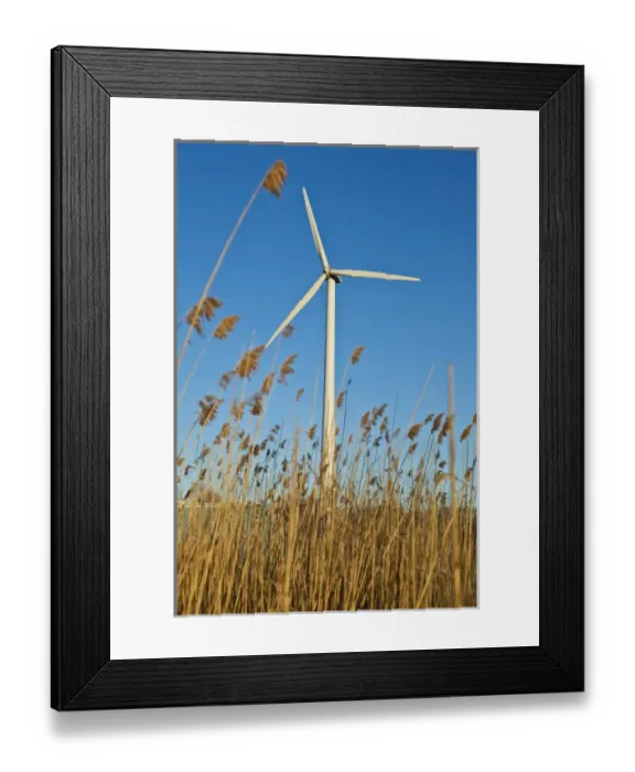 Framed Print : A wind turbine in Newburyport, Massachusetts Framed Print : A wind turbine in Newburyport, Massachusetts