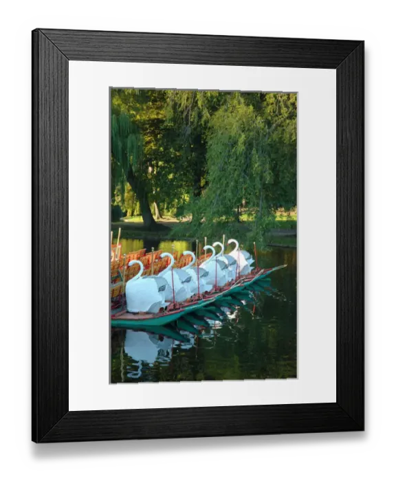 Framed Print : North America, USA, Massachusetts, Boston, swan boats in public garden Framed Print : North America, USA, Massachusetts, Boston, swan boats in public garden