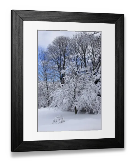 Framed Print : USA, New England, Massachusetts, Reading, winter scene Framed Print : USA, New England, Massachusetts, Reading, winter scene