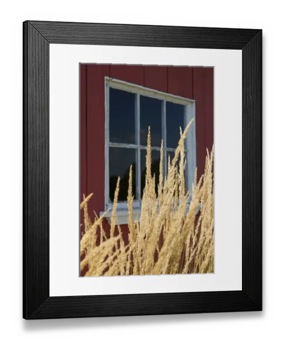 Framed Print : USA, New England, Massachusetts, Boylston, Tower Hill Botanical Garden, grass by Framed Print : USA, New England, Massachusetts, Boylston, Tower Hill Botanical Garden, grass by