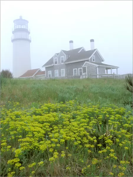 North America, USA, Massachusettes, Cape Cod. Highland Beach lighthouse in morning fog