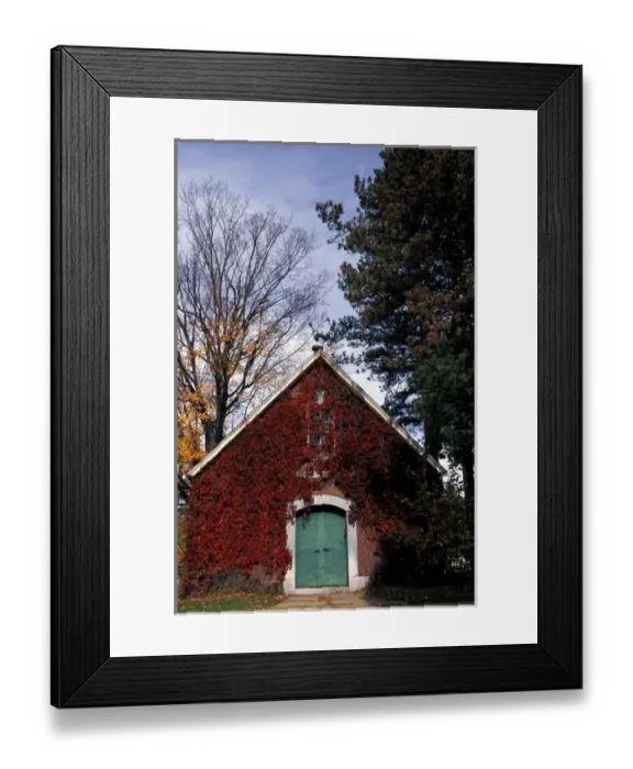 Framed Print : North America, United States, Massachusetts, Boston. Ivy covered building