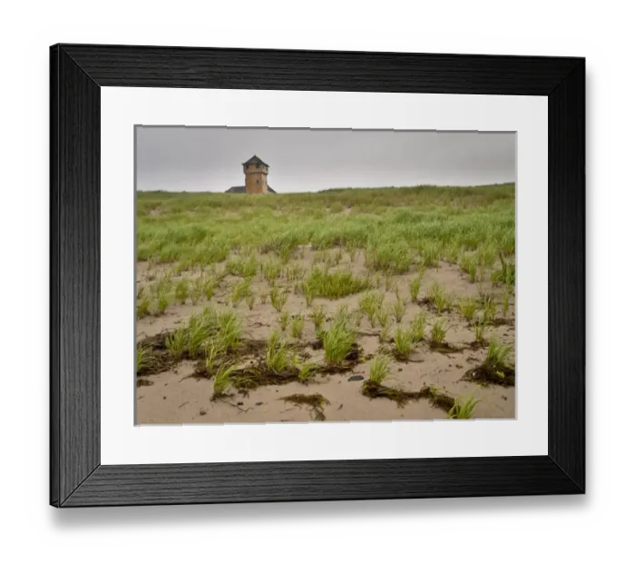Framed Print : Cape Cod dunes, Massachusetts Framed Print : Cape Cod dunes, Massachusetts