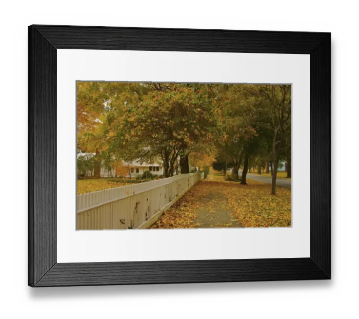 Framed Print : North America, USA, Massachusetts, Deerfield. A leaf-strewn sidewalk and white picket Framed Print : North America, USA, Massachusetts, Deerfield. A leaf-strewn sidewalk and white picket