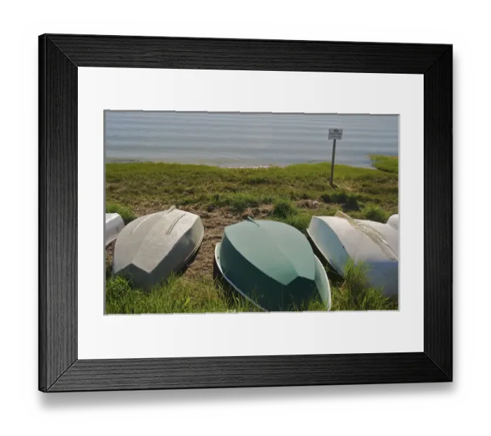 Framed Print : North America, USA, Massachusetts, Chatham. Rowboats lined up in beach grass near