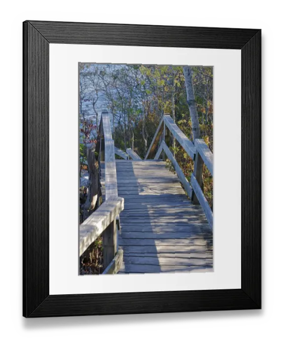 Framed Print : North America, USA, Massachusetts, Chatham. Wooden walkway leading to the ocean