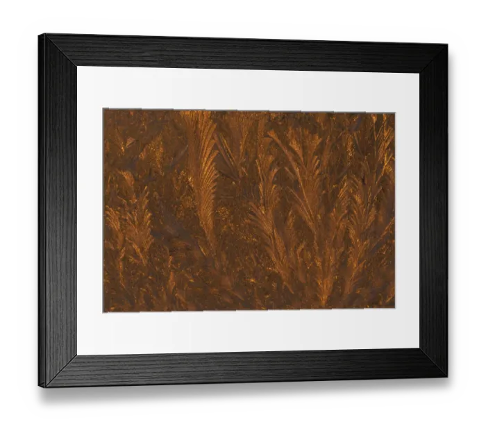 Framed Print : USA, Michigan, Golden frost patterns on window at sunrise. Credit as: Mark Carlson Framed Print : USA, Michigan, Golden frost patterns on window at sunrise. Credit as: Mark Carlson