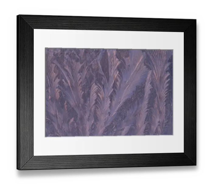 Framed Print : USA, Michigan, Feathery frost patterns on window. Credit as: Mark Carlson / Jaynes Framed Print : USA, Michigan, Feathery frost patterns on window. Credit as: Mark Carlson / Jaynes