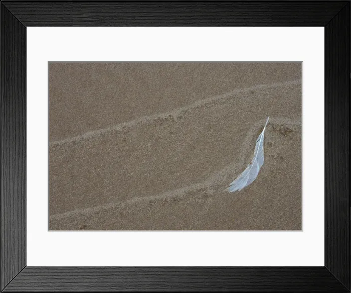 Framed Print : USA, Michigan, Gull feather and wave lines on Lake Michigan beach. Credit as: Mark Framed Print : USA, Michigan, Gull feather and wave lines on Lake Michigan beach. Credit as: Mark