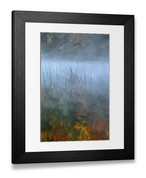 Framed Print : Fog, Reeds and Autumn Reflection; Hiawatha National Forest, Council Lake