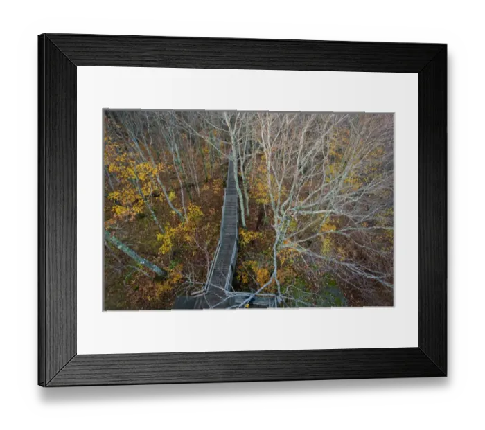 Framed Print : Boardwalk leads to viewing tower at the Summit Peak Trail in Porcupine Mountains Framed Print : Boardwalk leads to viewing tower at the Summit Peak Trail in Porcupine Mountains