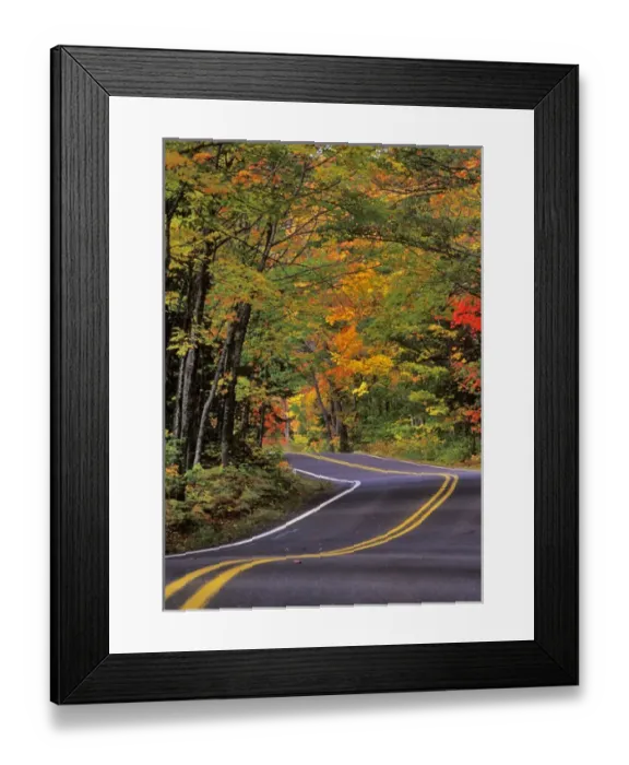 Framed Print : Canopy of autumn color over Highway 41 into Copper Harbor UP Michigan Framed Print : Canopy of autumn color over Highway 41 into Copper Harbor UP Michigan