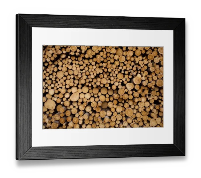 Framed Print : USA, Michigan, Gulliver, Stacked piles of cut logs at Zellar Forest Products