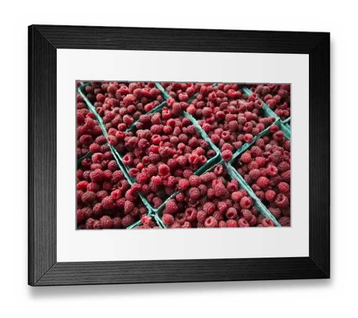 Framed Print : USA-Michigan-Ann Arbor: Ann Arbor Farmers Market-Raspberries Framed Print : USA-Michigan-Ann Arbor: Ann Arbor Farmers Market-Raspberries