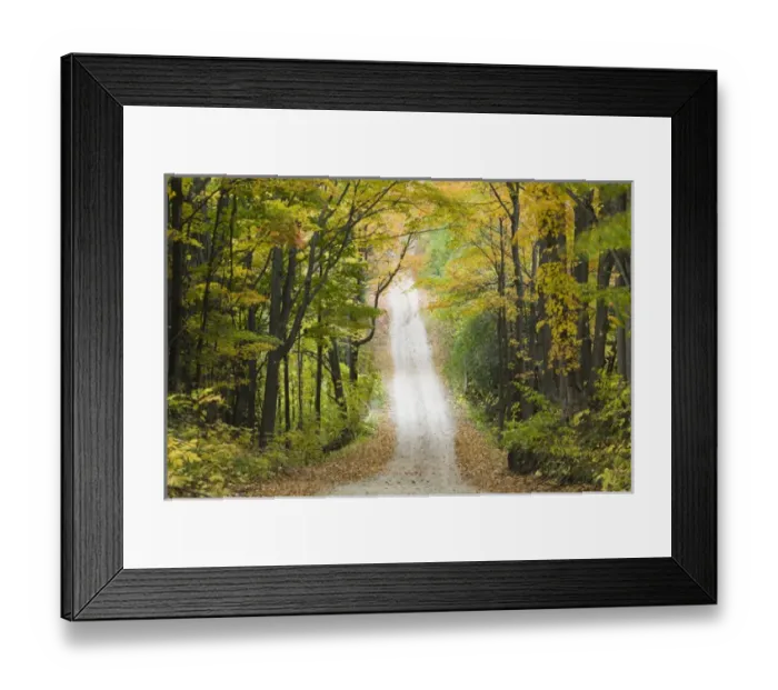 Framed Print : USA-Michigan-Lake Michigan Shore-Eastport: Country Road in Autumn