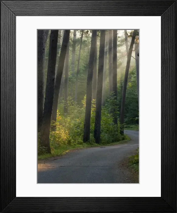Framed Print : Wilderness drive Itasca state park Framed Print : Wilderness drive Itasca state park