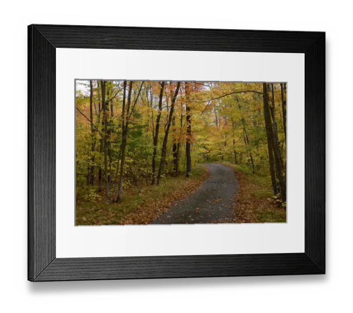 Framed Print : USA, Minnesota, Itasca State Park. Fall leaves on a bike path Framed Print : USA, Minnesota, Itasca State Park. Fall leaves on a bike path
