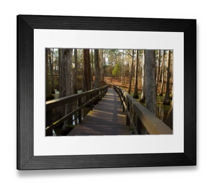 Framed Print : North America, USA, Mississippi, Natchez Trace Parkway, Tupelo-baldcypress Swamp Framed Print : North America, USA, Mississippi, Natchez Trace Parkway, Tupelo-baldcypress Swamp