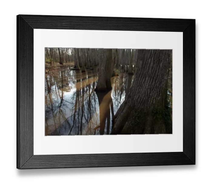 Framed Print : North America, USA, Mississippi, Natchez Trace Parkway, Tupelo-baldcypress Swamp Framed Print : North America, USA, Mississippi, Natchez Trace Parkway, Tupelo-baldcypress Swamp