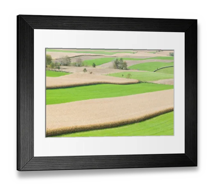Framed Print : USA-MINNESOTA-Lanesboro: Bluff Country / Southeastern Minnesota-Grain Field / Autumn Framed Print : USA-MINNESOTA-Lanesboro: Bluff Country / Southeastern Minnesota-Grain Field / Autumn
