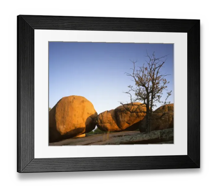 Framed Print : USA, Missouri, Elephant Rocks State Park, Oak and boulder Framed Print : USA, Missouri, Elephant Rocks State Park, Oak and boulder