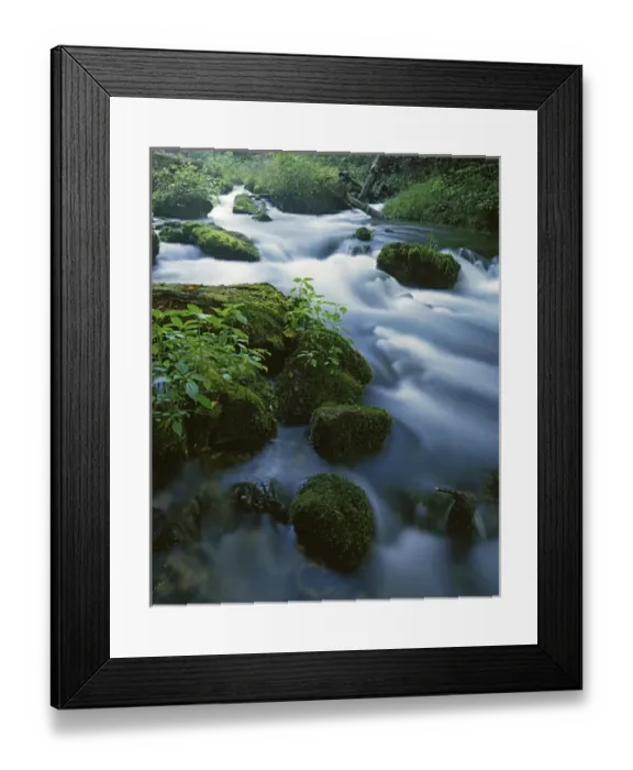 Framed Print : USA, Missouri, Ozark National Scenic Riverways, Greer Spring Framed Print : USA, Missouri, Ozark National Scenic Riverways, Greer Spring