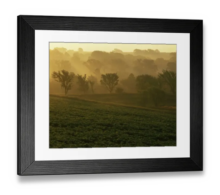Framed Print : USA, Missouri, Holt County, Sunrise Framed Print : USA, Missouri, Holt County, Sunrise