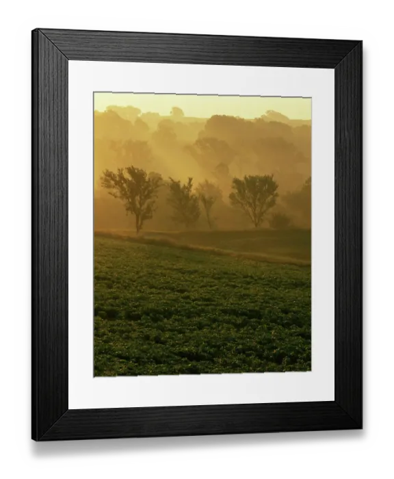 Framed Print : USA, Missouri, Holt County, Sunrise
