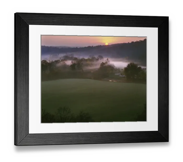 Framed Print : USA, Missouri, Washington State Park, Sunrise Framed Print : USA, Missouri, Washington State Park, Sunrise