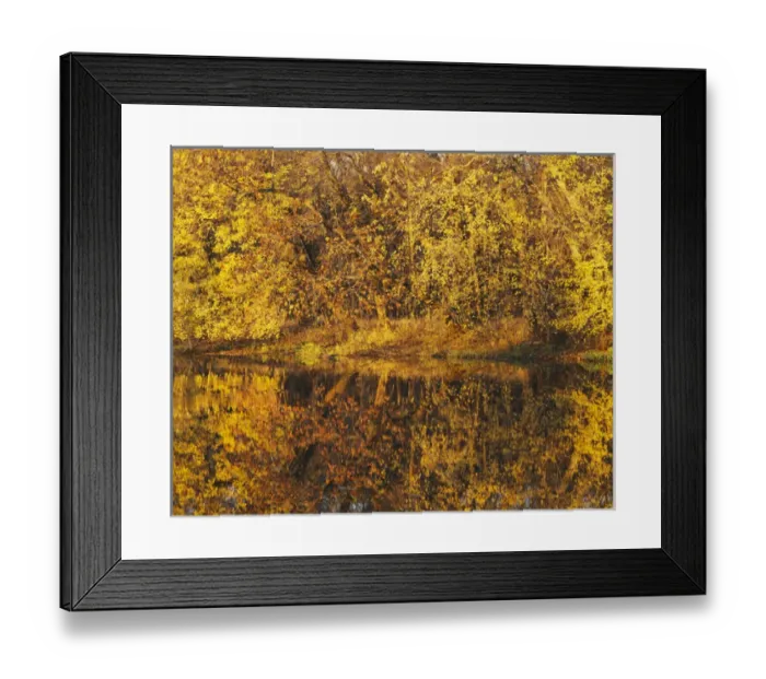 Framed Print : USA, Missouri, Shoal Creek, Fall reflections Framed Print : USA, Missouri, Shoal Creek, Fall reflections