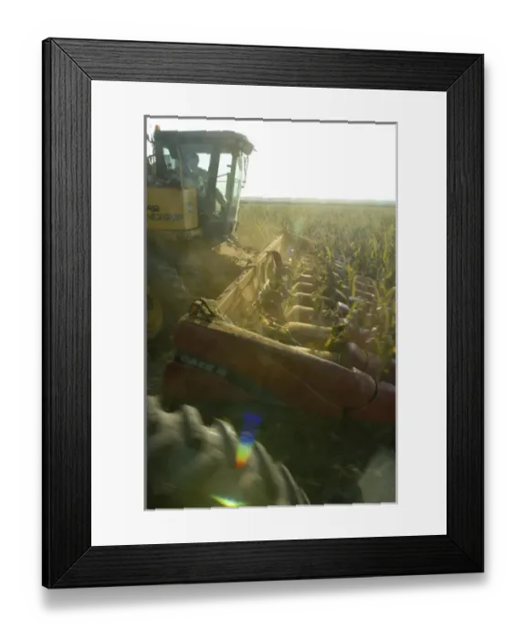 Framed Print : Harvesting corn in Nebraska Framed Print : Harvesting corn in Nebraska