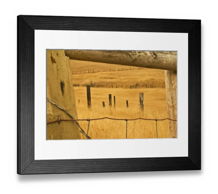 Framed Print : USA, Montana. Old fence framing other fences in prairie. Credit as: Nancy Rotenberg Framed Print : USA, Montana. Old fence framing other fences in prairie. Credit as: Nancy Rotenberg