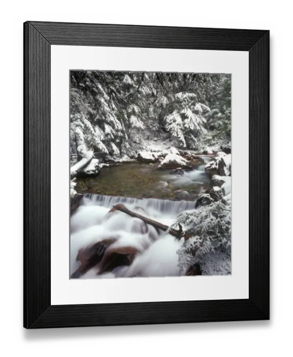 Framed Print : Avalanche Creek in Glacier National Park Montana after a snowfall Framed Print : Avalanche Creek in Glacier National Park Montana after a snowfall