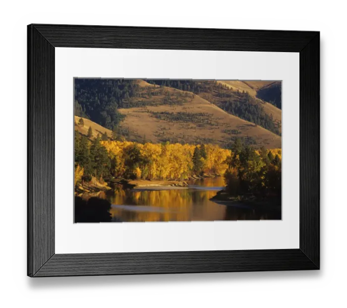 Framed Print : Autumn Color on the Bitterroot River near Missoula, Montana, USA