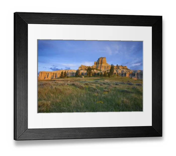 Framed Print : Capitol Rock in the Custer National Forest, Montana, USA Framed Print : Capitol Rock in the Custer National Forest, Montana, USA